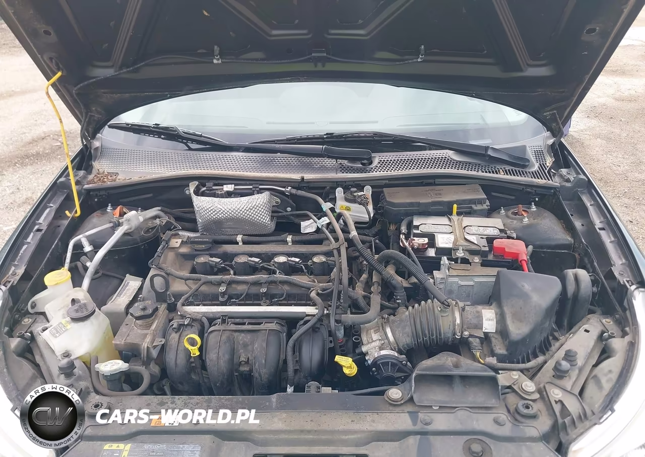 2010 Ford Focus S VIN:1FAHP3EN0AW140400 - 10