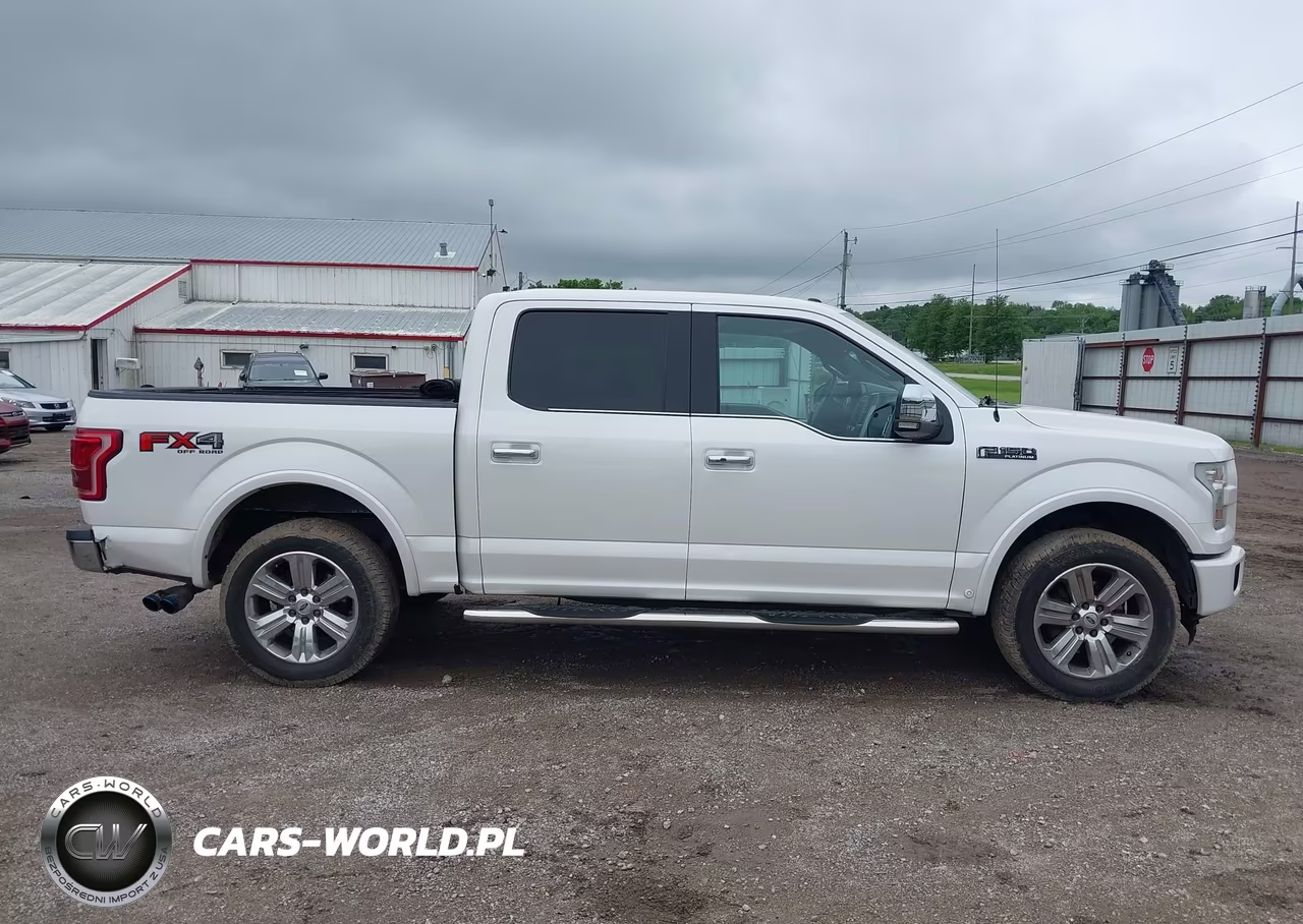 2015 Ford F-150 Platinum VIN:1FTEW1EF3FFB33526 - 13