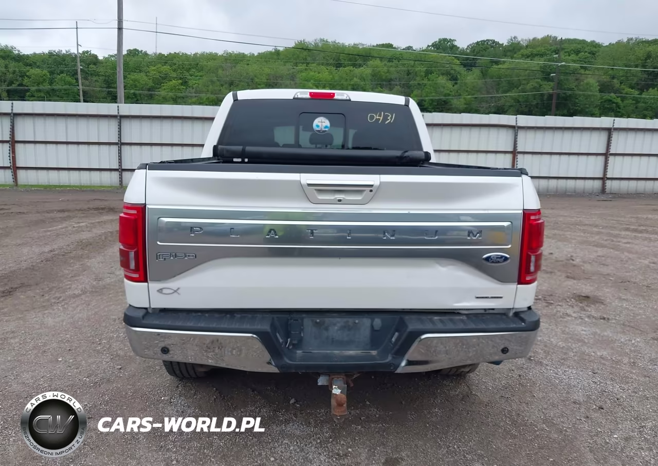 2015 Ford F-150 Platinum VIN:1FTEW1EF3FFB33526 - 16