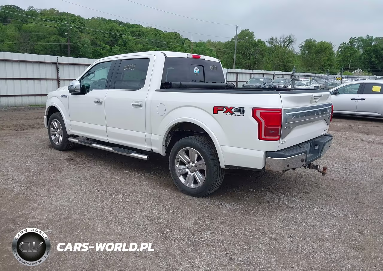 2015 Ford F-150 Platinum VIN:1FTEW1EF3FFB33526 - 3