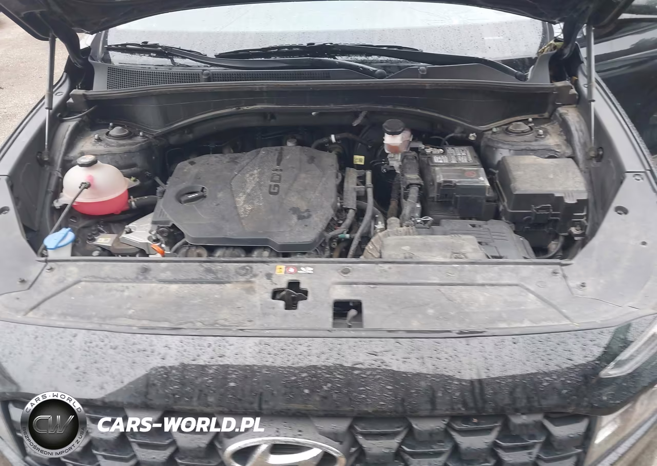 2023 Hyundai Santa Fe Xrt VIN:5NMS6DAJ8PH599522 - 10