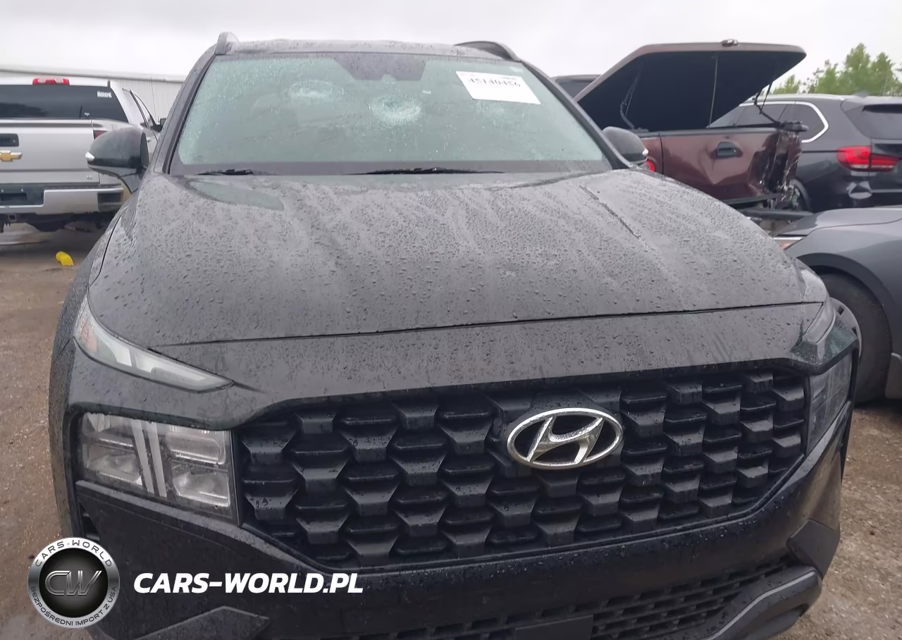 2023 Hyundai Santa Fe Xrt VIN:5NMS6DAJ8PH599522 - 12