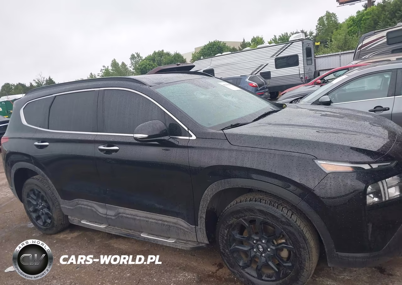 2023 Hyundai Santa Fe Xrt VIN:5NMS6DAJ8PH599522 - 13