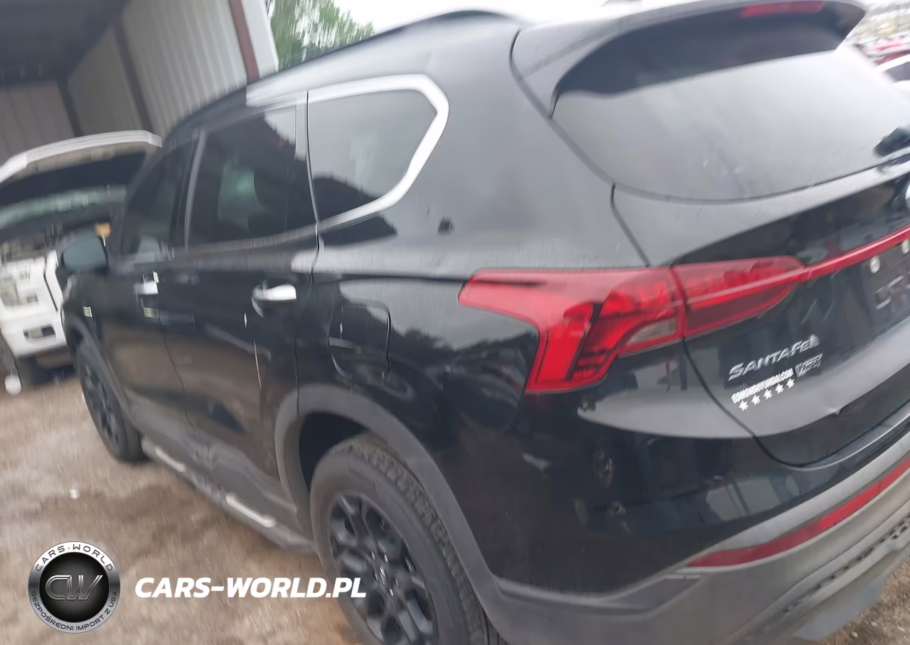 2023 Hyundai Santa Fe Xrt VIN:5NMS6DAJ8PH599522 - 14