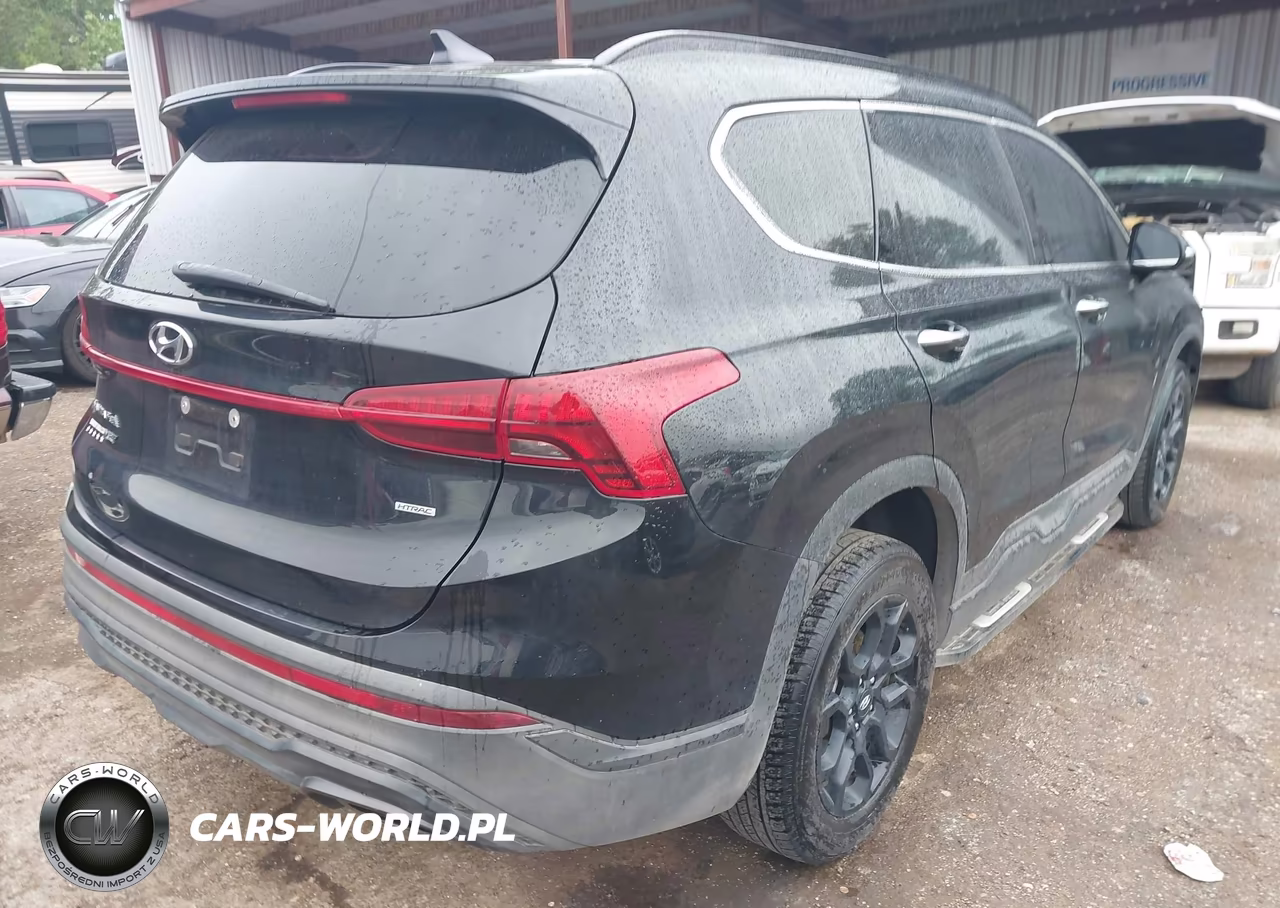 2023 Hyundai Santa Fe Xrt VIN:5NMS6DAJ8PH599522 - 4
