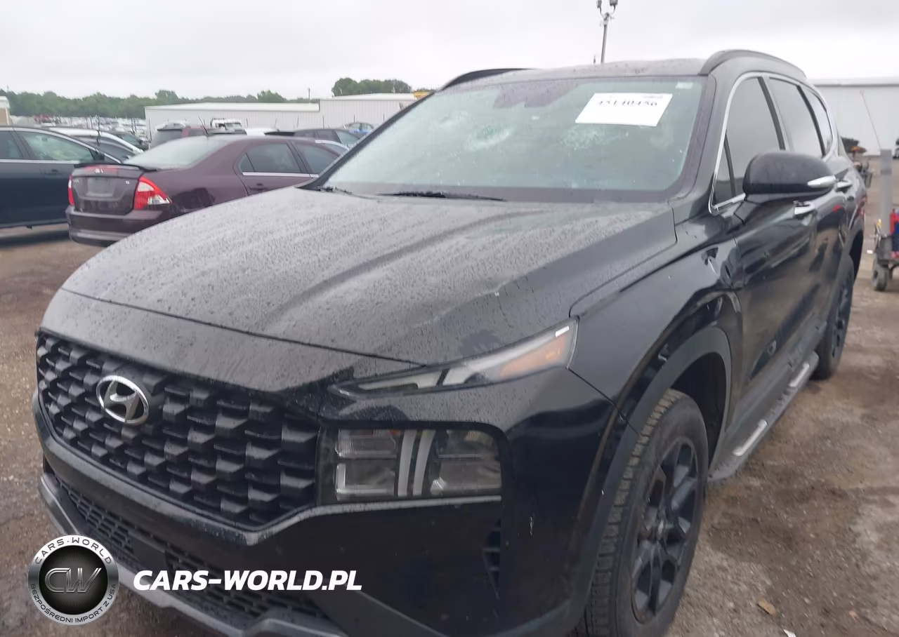 2023 Hyundai Santa Fe Xrt VIN:5NMS6DAJ8PH599522 - 6