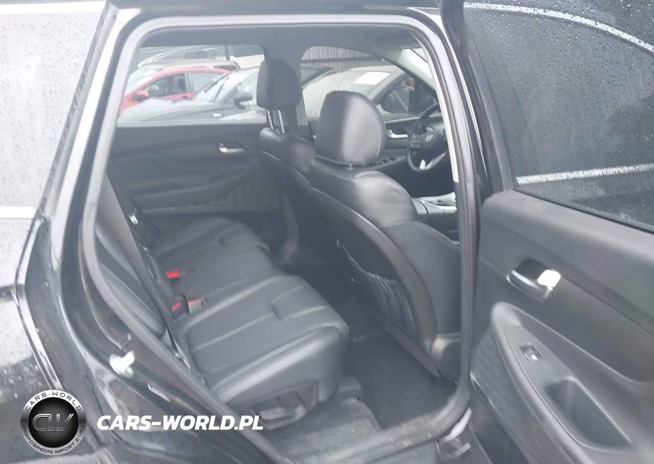 2023 Hyundai Santa Fe Xrt VIN:5NMS6DAJ8PH599522 - 8