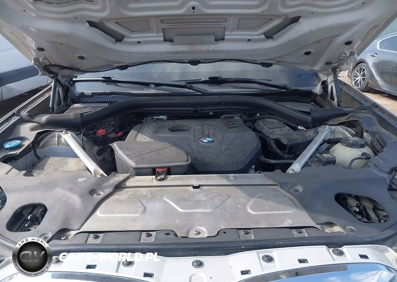 2019 BMW X3 Sdrive30I VIN:5UXTR7C51KLE98103 - 10