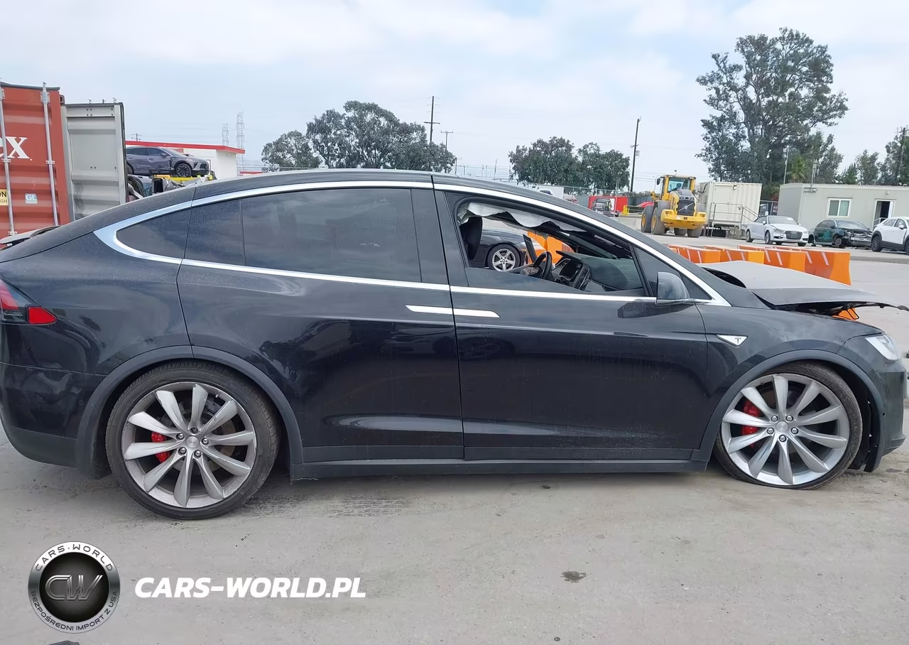 2016 Tesla Model X 75D-P100D-P90D VIN:5YJXCBE41GF018130 - 12