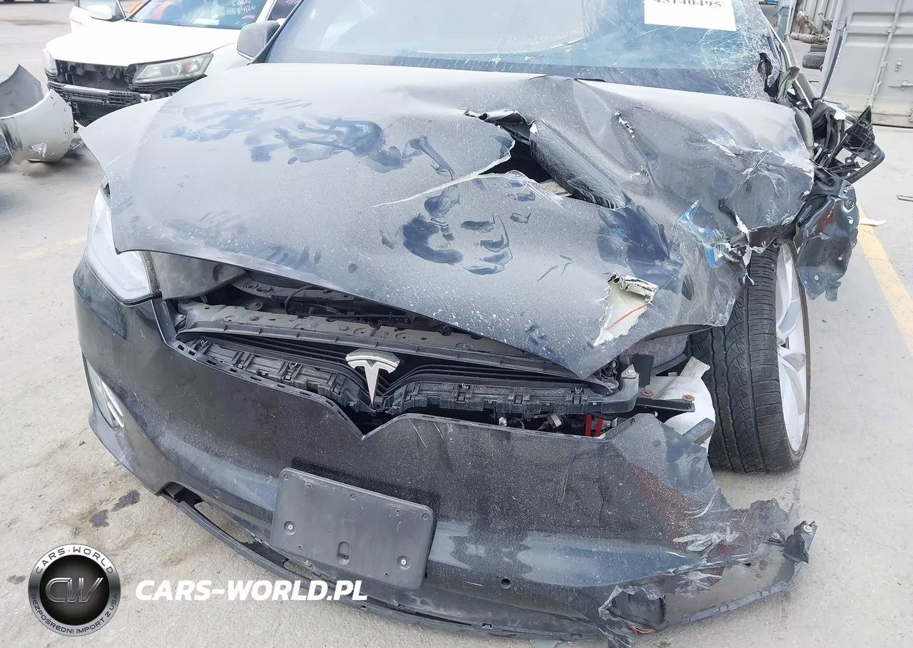 2016 Tesla Model X 75D-P100D-P90D VIN:5YJXCBE41GF018130 - 20