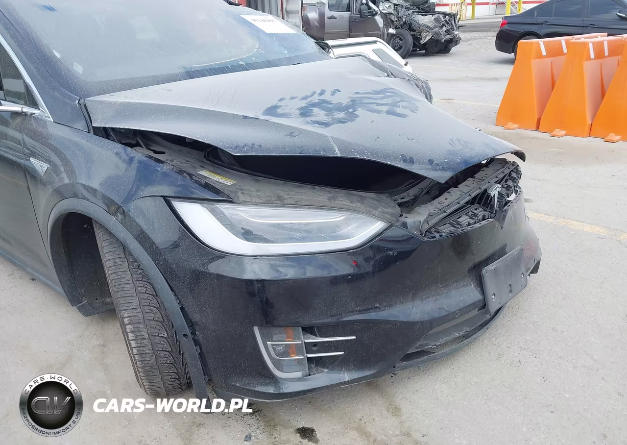 2016 Tesla Model X 75D-P100D-P90D VIN:5YJXCBE41GF018130 - 22