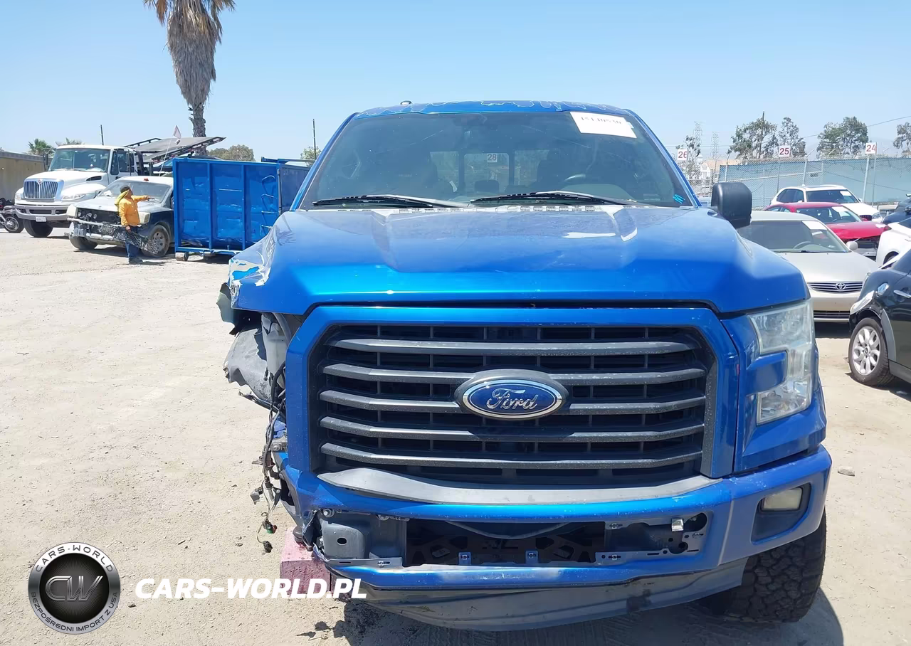 2015 Ford F-150 Xlt VIN:1FTEW1CF2FFA10058 - 12