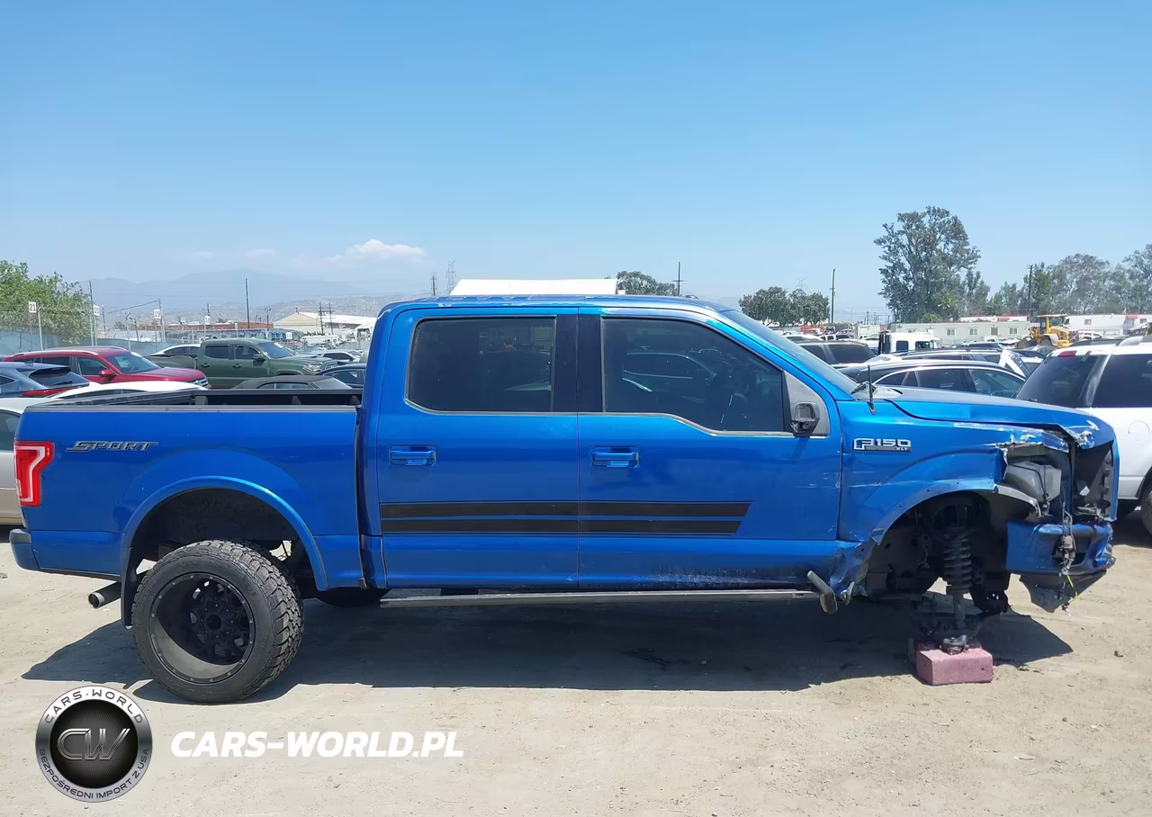 2015 Ford F-150 Xlt VIN:1FTEW1CF2FFA10058 - 13