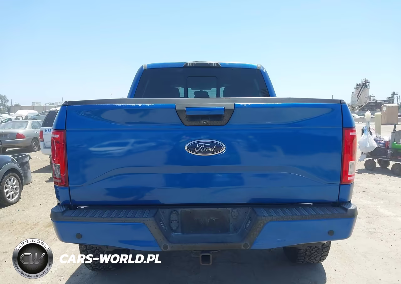 2015 Ford F-150 Xlt VIN:1FTEW1CF2FFA10058 - 16