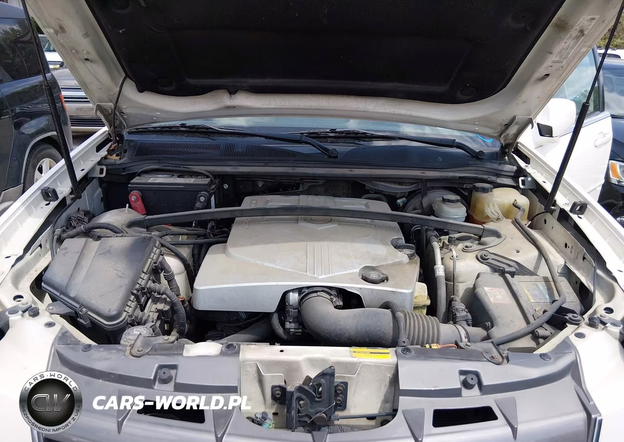 2005 Cadillac Srx V6 VIN:1GYEE637450187683 - 10