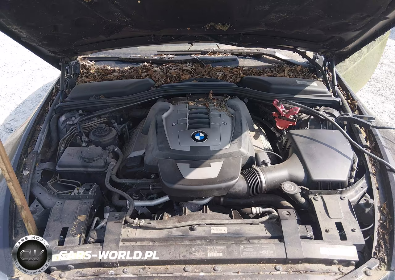 2006 BMW 650I VIN:WBAEK13446CN77381 - 10