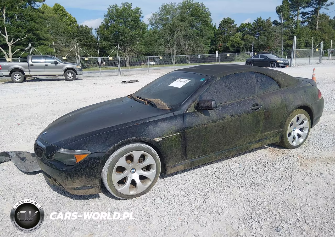 2006 BMW 650I VIN:WBAEK13446CN77381 - 2