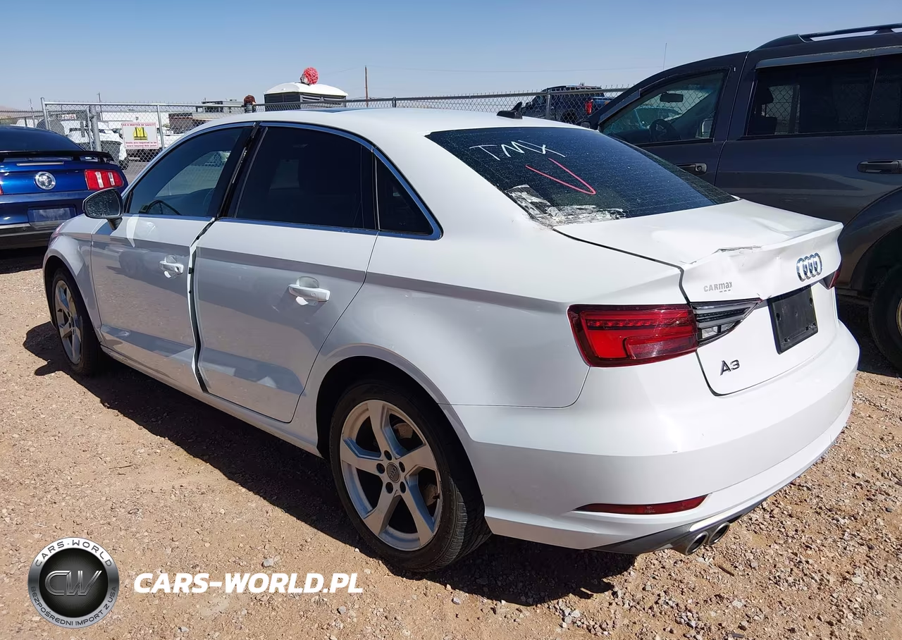 2019 Audi A3 40 Premium-40 Titanium Premium VIN:WAUAUGFF2K1012304 - 13