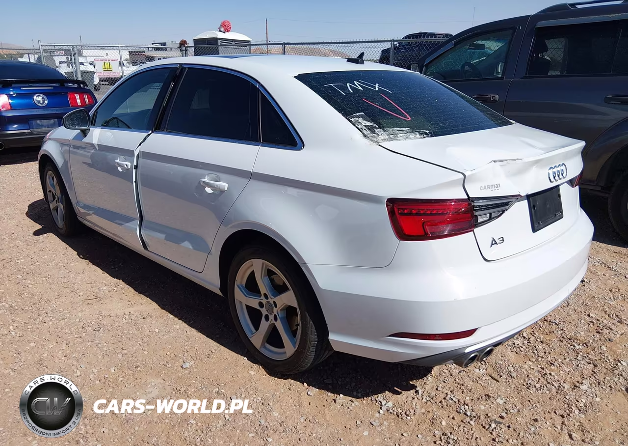 2019 Audi A3 40 Premium-40 Titanium Premium VIN:WAUAUGFF2K1012304 - 3