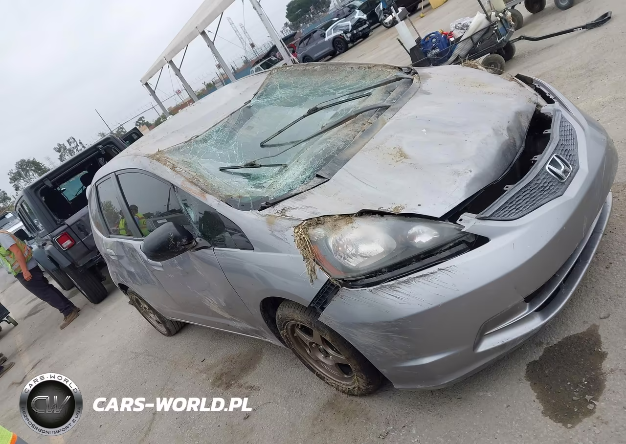 2009 Honda Fit VIN:JHMGE88209S055049 - 12