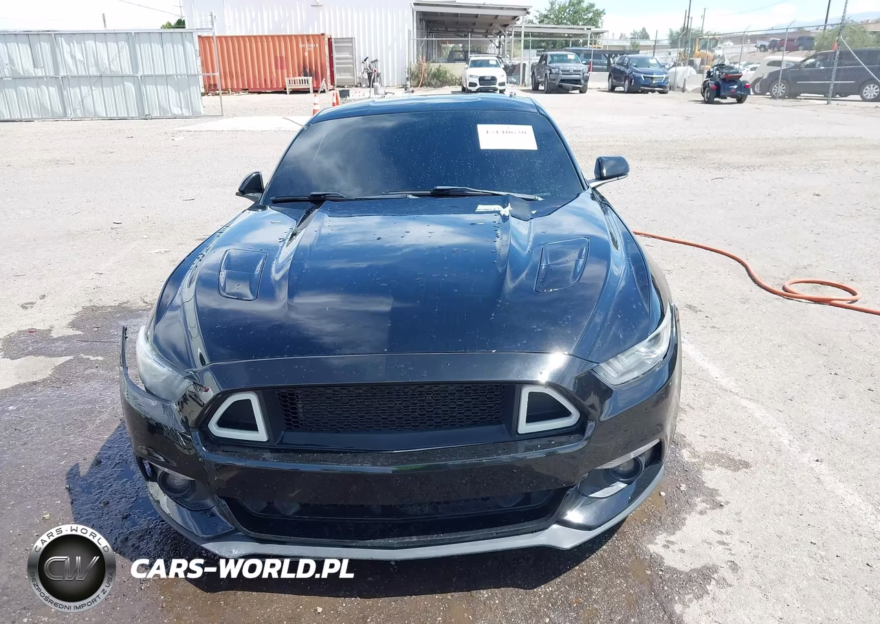 2015 Ford Mustang Gt Premium VIN:1FA6P8CF8F5408509 - 12