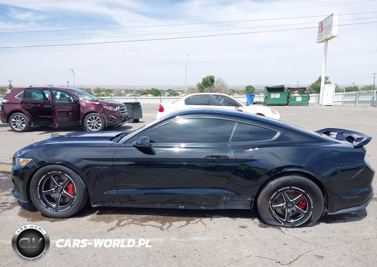 2015 Ford Mustang Gt Premium VIN:1FA6P8CF8F5408509 - 14