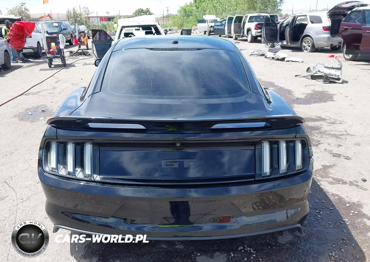 2015 Ford Mustang Gt Premium VIN:1FA6P8CF8F5408509 - 16