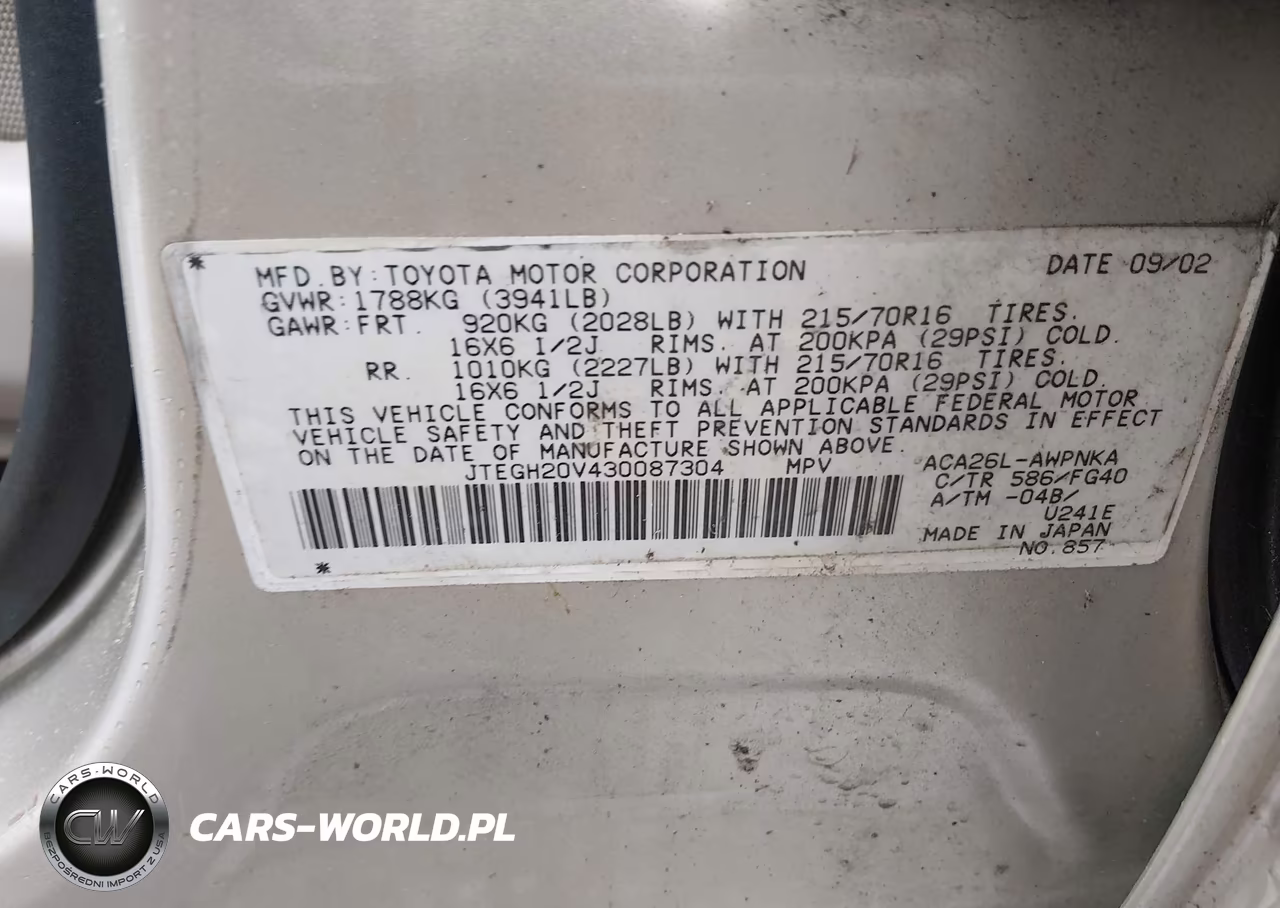 2003 Toyota Rav4 VIN:JTEGH20V430087304 - 9
