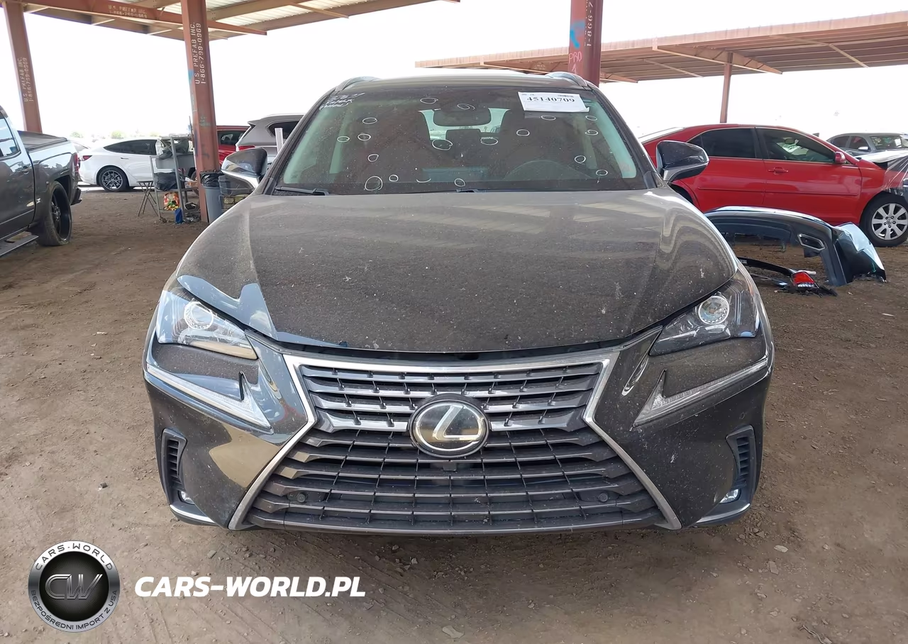 2019 Lexus Nx 300 VIN:JTJYARBZ2K2135226 - 13