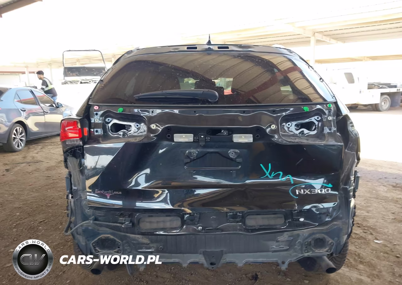 2019 Lexus Nx 300 VIN:JTJYARBZ2K2135226 - 17