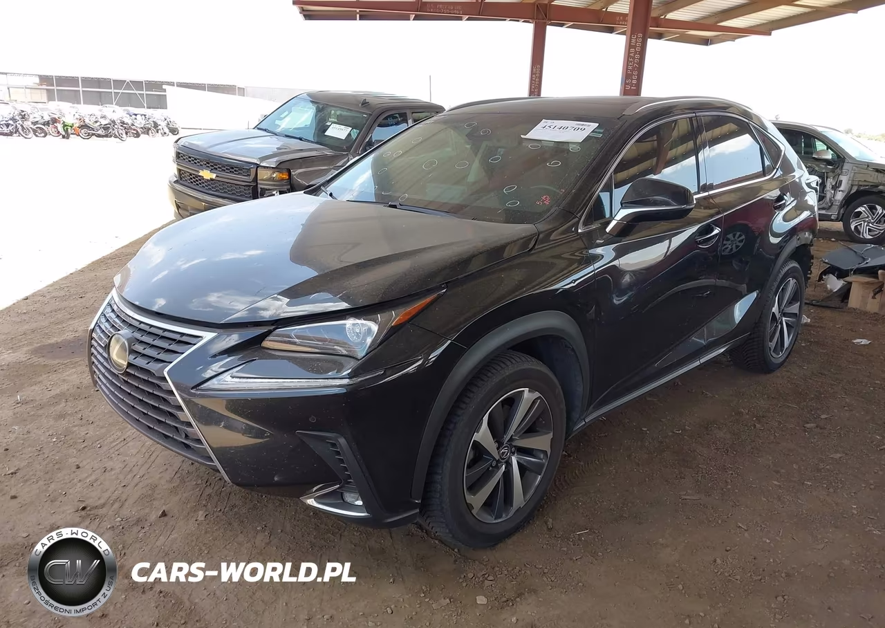 2019 Lexus Nx 300 VIN:JTJYARBZ2K2135226 - 2