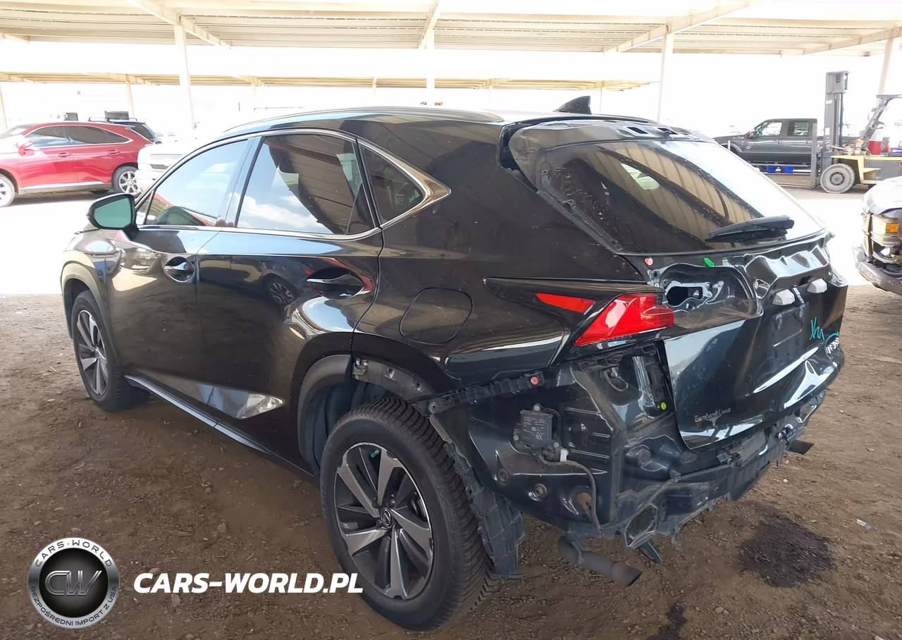 2019 Lexus Nx 300 VIN:JTJYARBZ2K2135226 - 3