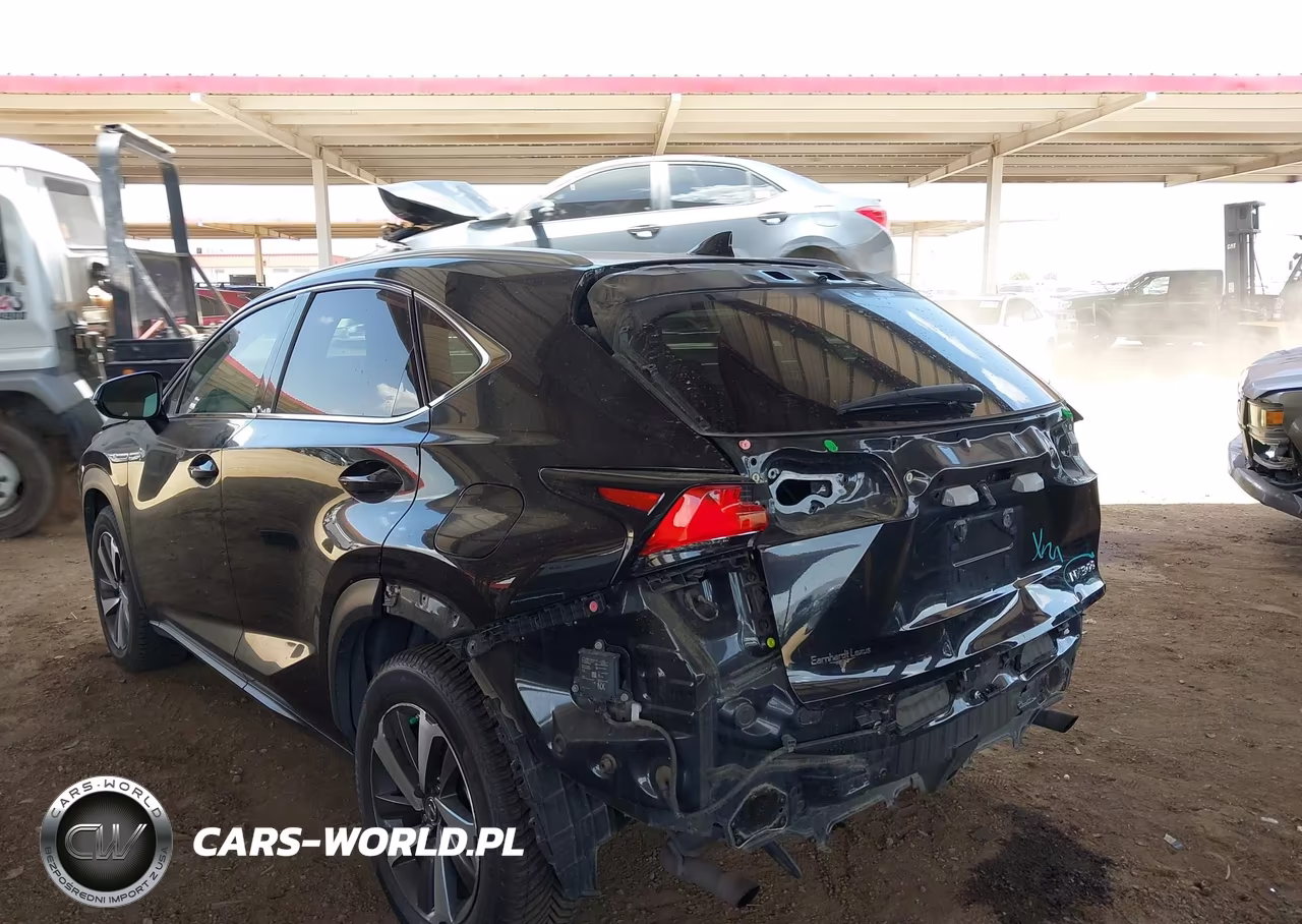 2019 Lexus Nx 300 VIN:JTJYARBZ2K2135226 - 6