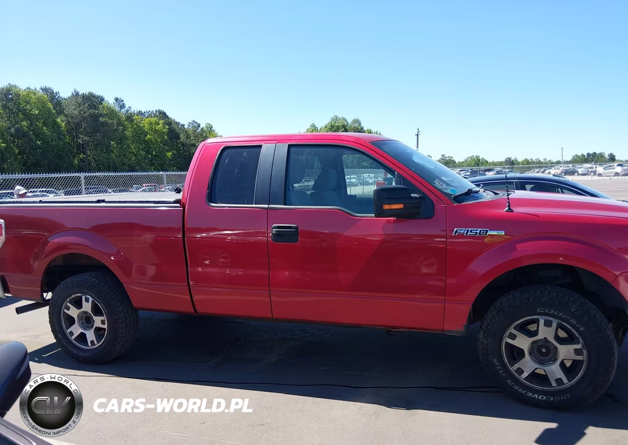 2010 Ford F-150 Stx-Xl-Xlt VIN:1FTEX1E8XAFB54672 - 13