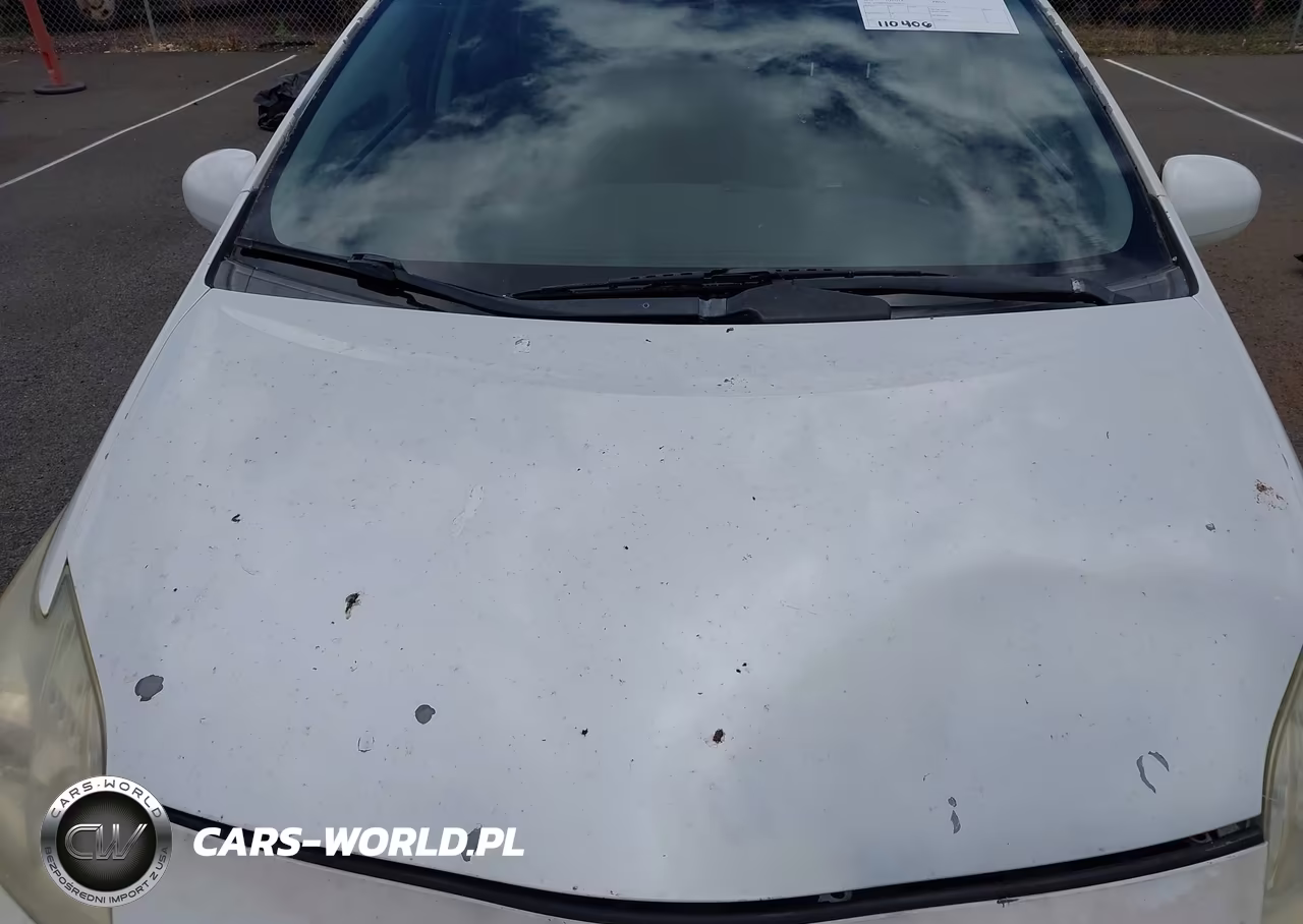2010 Toyota Prius I-Ii-Iii-Iv-V VIN:JTDKN3DU9A0058327 - 13