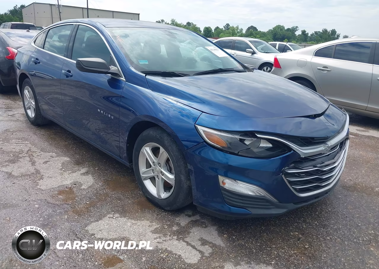 2019 Chevrolet Malibu 1Ls