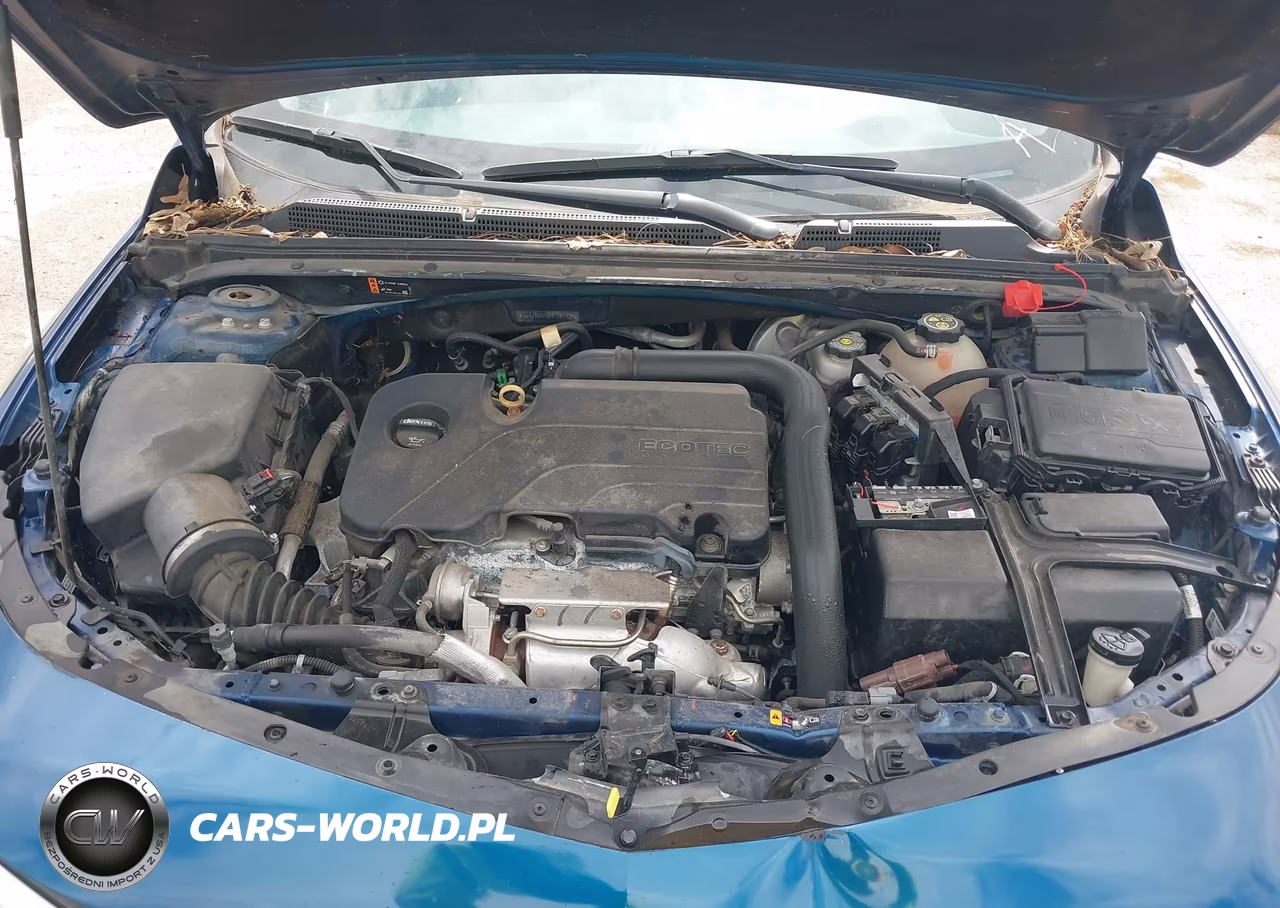 2019 Chevrolet Malibu 1Ls VIN:1G1ZB5ST8KF187129 - 10