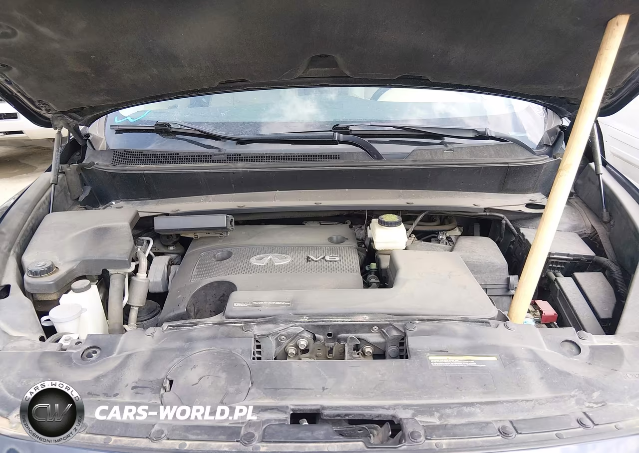 2016 Infiniti Qx60 VIN:5N1AL0MN4GC522829 - 10