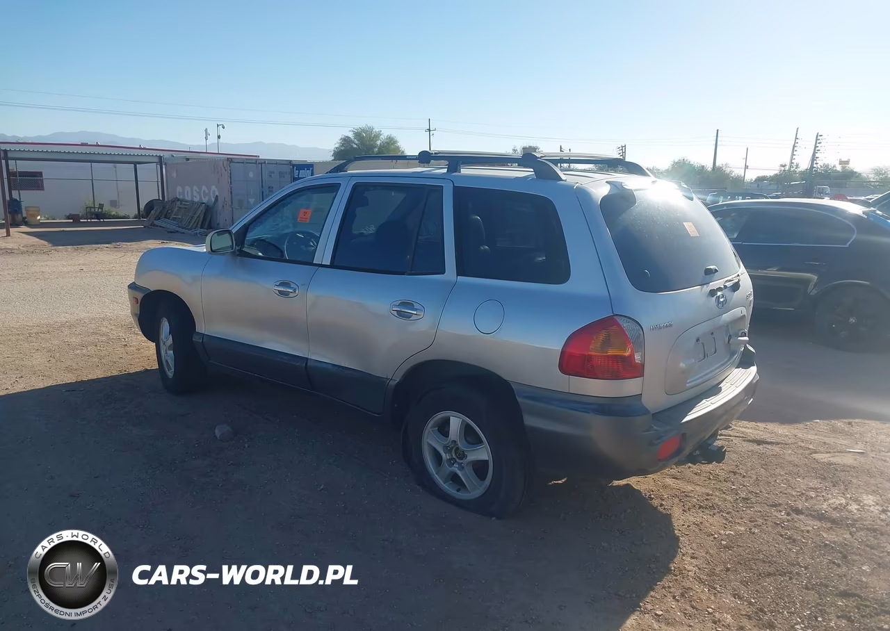 2004 Hyundai Santa Fe Gls-Lx VIN:KM8SC73E94U627306 - 3