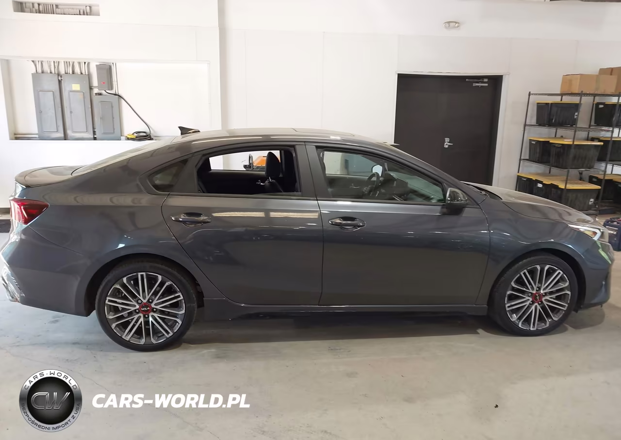 2022 Kia Forte Gt VIN:3KPF44AC2NE486159 - 13