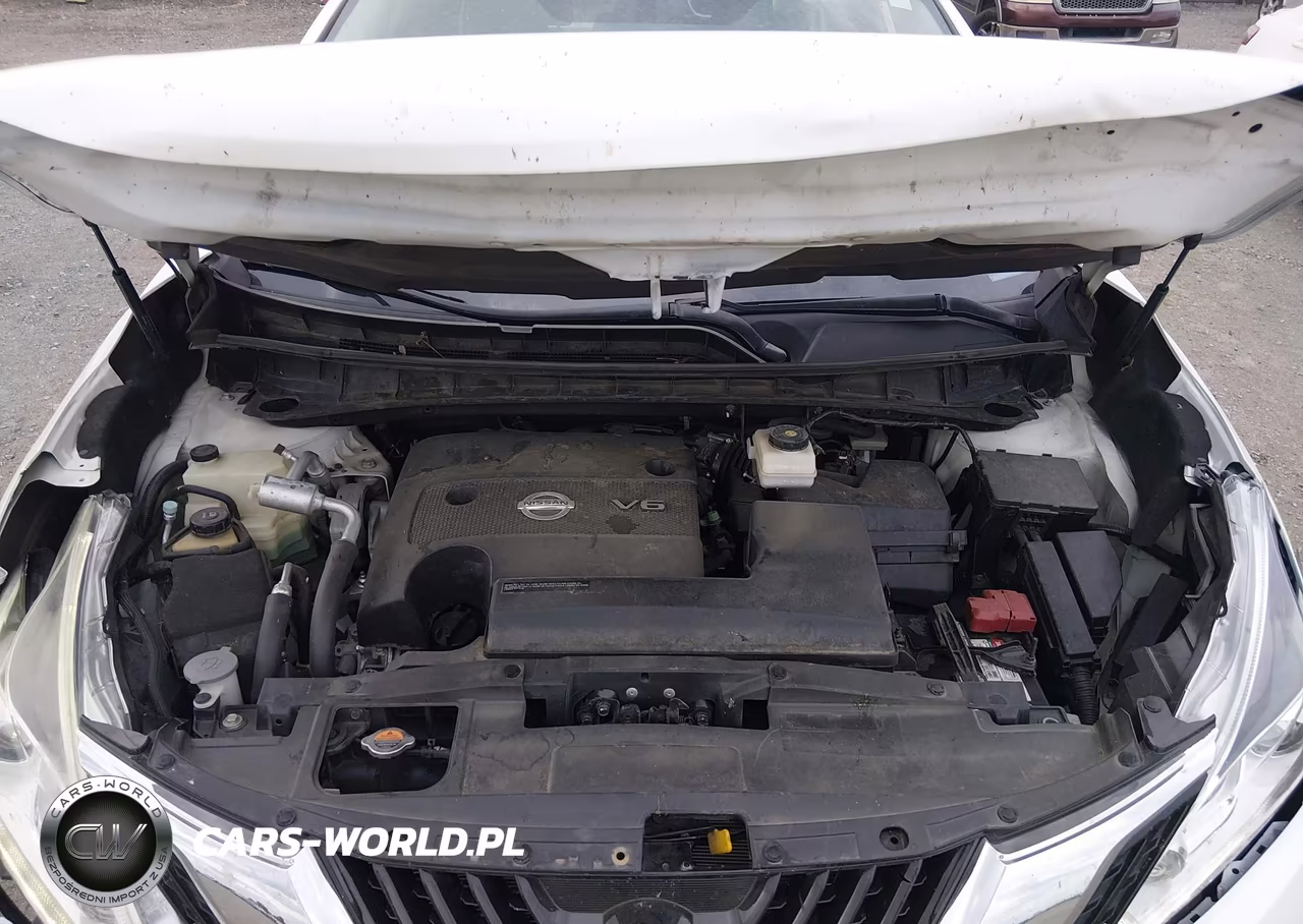 2016 Nissan Murano Platinum VIN:5N1AZ2MG2GN171273 - 10