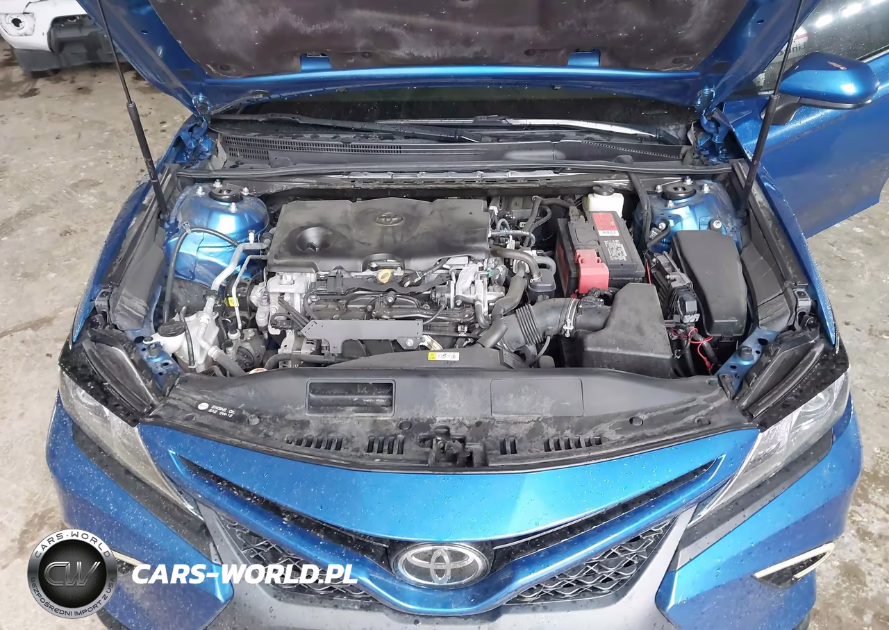 2018 Toyota Camry Se VIN:4T1B11HK5JU115975 - 10