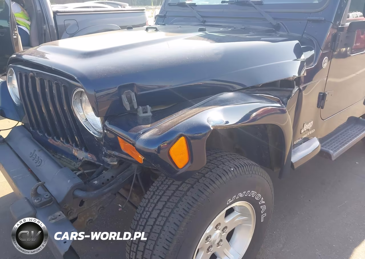 2006 Jeep Wrangler Unlimited VIN:1J4FA44S16P768719 - 6