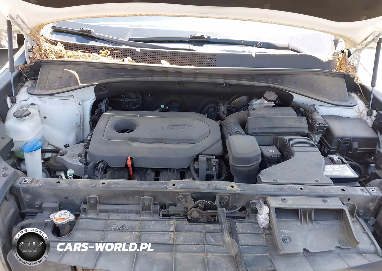 2016 Kia Sorento 2.4L Lx VIN:5XYPGDA38GG111037 - 10