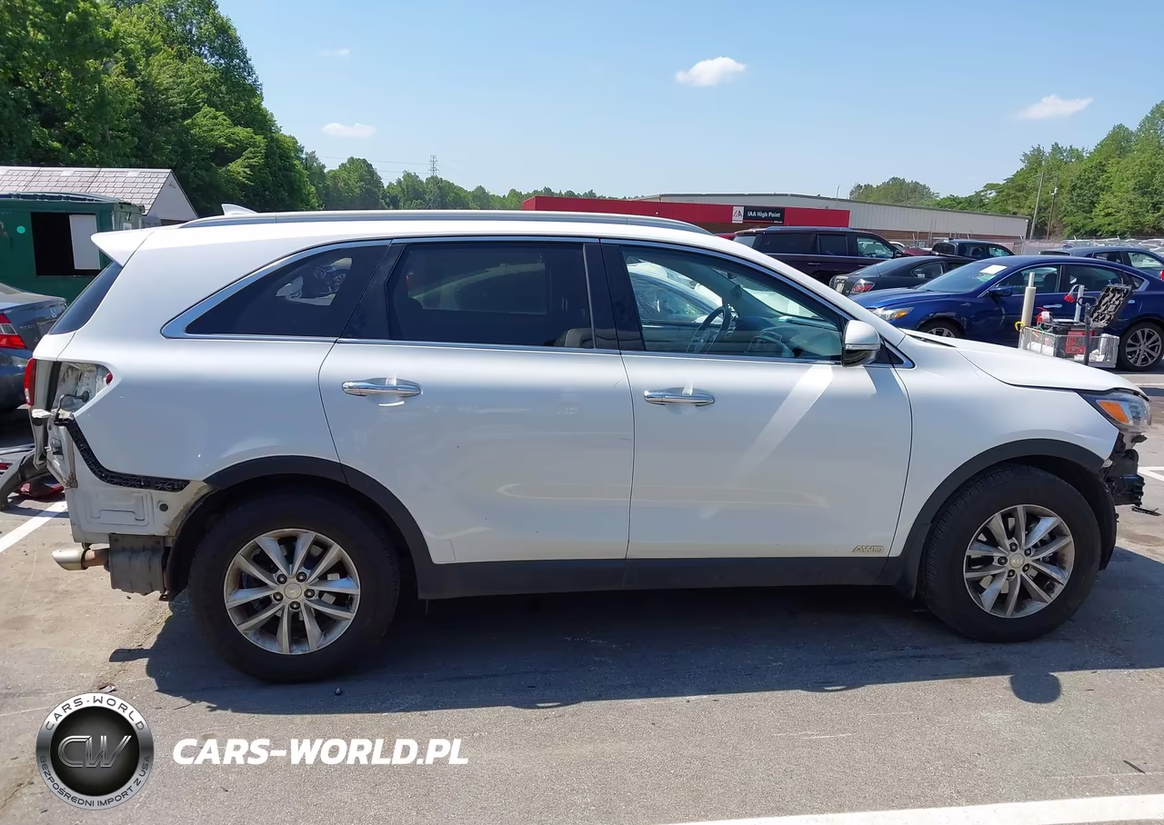 2016 Kia Sorento 2.4L Lx VIN:5XYPGDA38GG111037 - 14