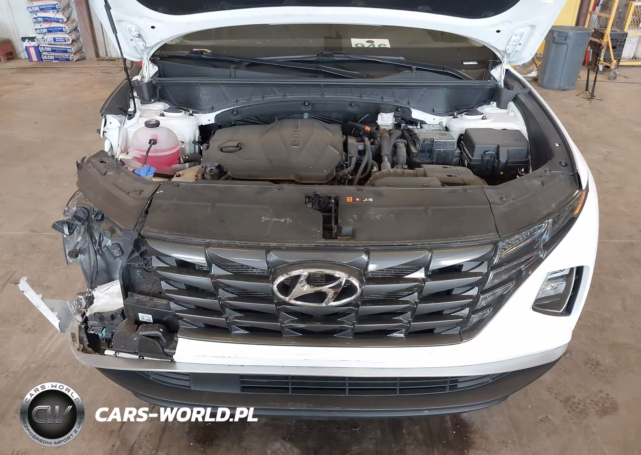 2024 Hyundai Tucson Sel VIN:5NMJBCDE3RH410343 - 10