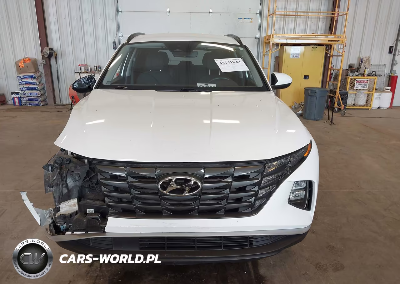 2024 Hyundai Tucson Sel VIN:5NMJBCDE3RH410343 - 12