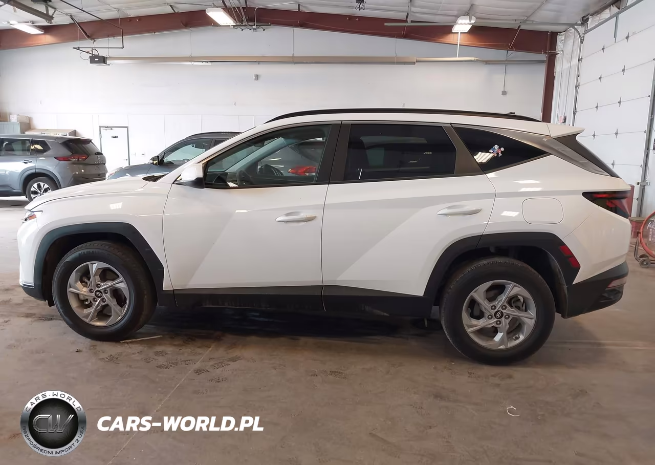 2024 Hyundai Tucson Sel VIN:5NMJBCDE3RH410343 - 14