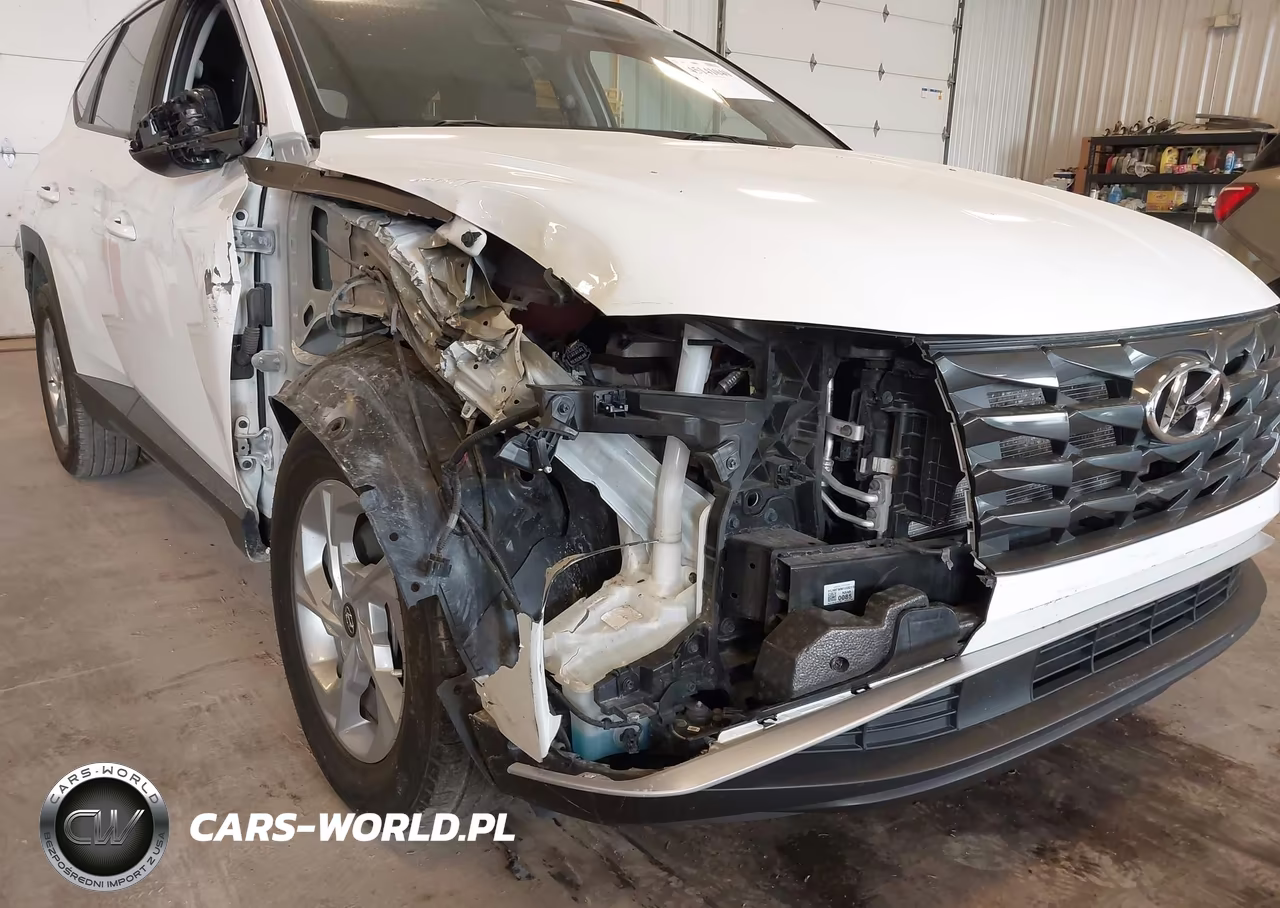 2024 Hyundai Tucson Sel VIN:5NMJBCDE3RH410343 - 6