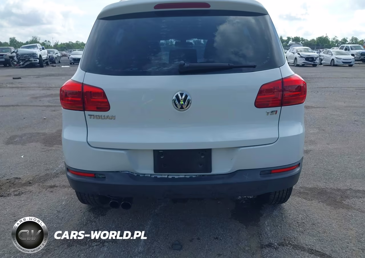2016 Volkswagen Tiguan S VIN:WVGAV7AX3GW580261 - 16